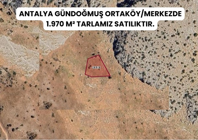 ANTALYA GÜNDOĞMUŞ ORTAKÖY/MERKEZDE 1.970 M² TARLAMIZ SATILIKTIR. - ANTALYA GÜNDOĞMUŞ fotoğraf 5